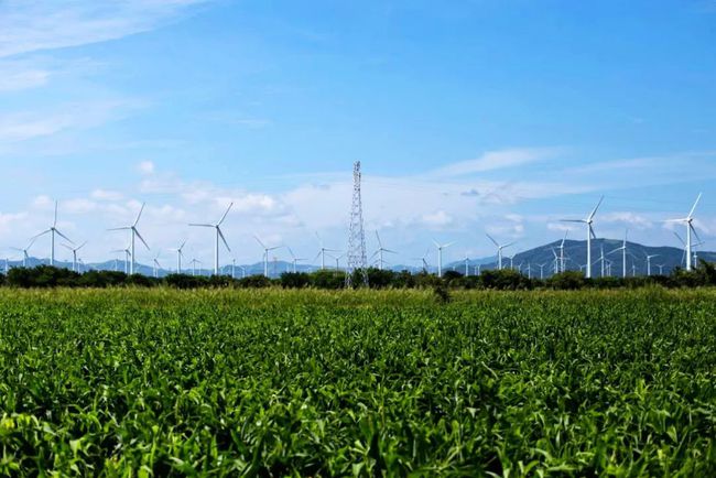 收購墨西哥818MW光伏電站，國家電投境外光伏電站裝機超6GW