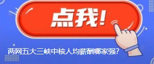國網(wǎng)南網(wǎng)華能大唐國家能源三峽中核人均薪酬哪家強(qiáng)？
