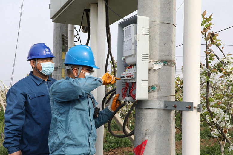 國網諸城市供電公司電力足，千畝梨園花正濃
