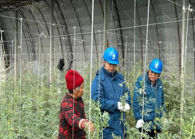 山東惠民供電公司：走訪種植大棚，優(yōu)化農(nóng)業(yè)營商環(huán)境