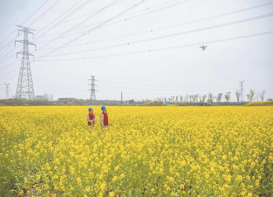 國網南京供電公司促進黨建與業(yè)務全面融合