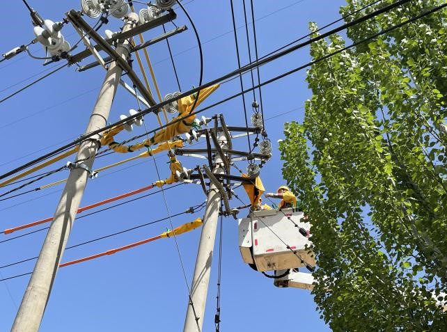 帶電作業(yè)除隱患，安全供電有保障