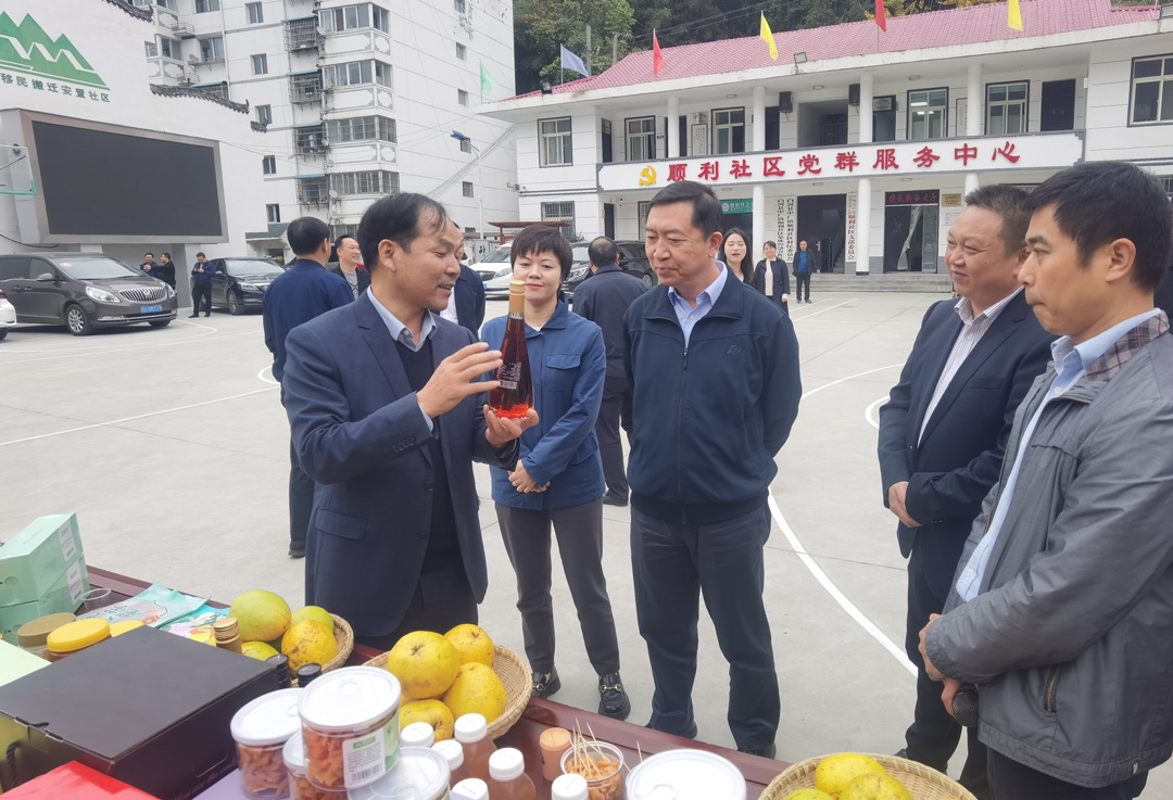 中核集團總經(jīng)理、黨組副書記顧軍赴陜西白河、旬陽調(diào)研鄉(xiāng)村振興工作
