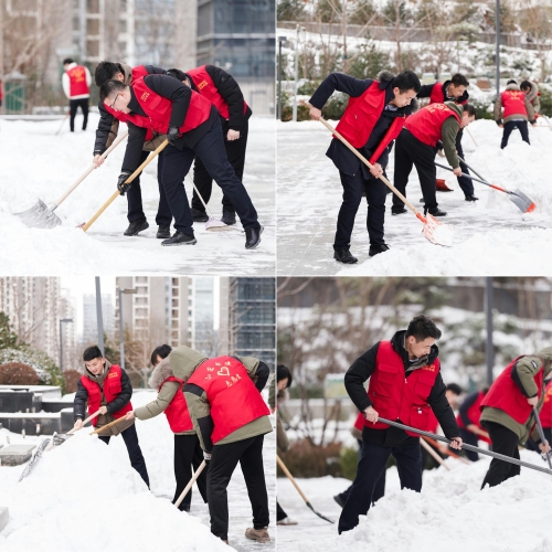 白雪更映“志愿紅”，山東電建公司志愿者掃雪除冰在行動(dòng)