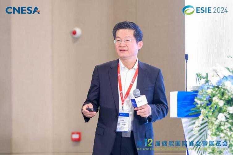 林澤波：儲能企業(yè)出海不是價格競爭，而是以定制優(yōu)質(zhì)產(chǎn)品和服務(wù)實現(xiàn)可持續(xù)發(fā)展