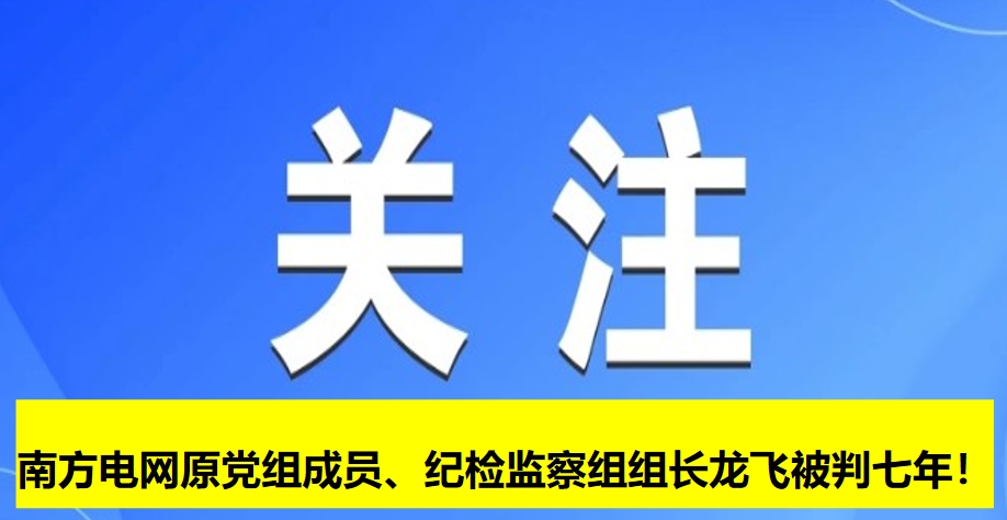 南方電網(wǎng)原黨組成員、紀(jì)檢監(jiān)察組組長龍飛被判