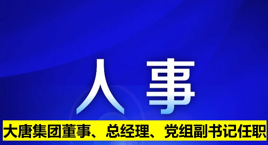 大唐集團(tuán)董事、總經(jīng)理、黨組副書記任職