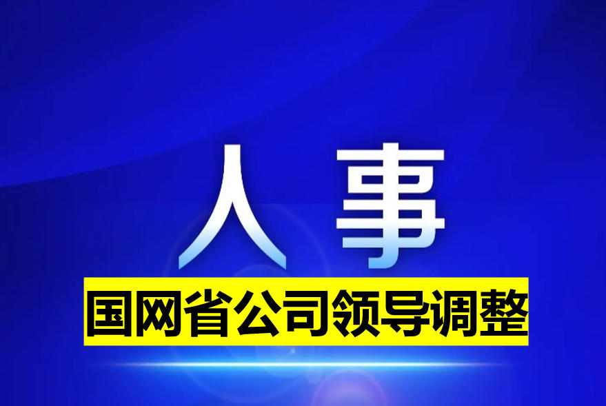 國網省公司領導調整