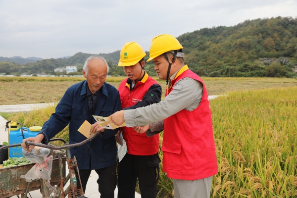 國網臺州市黃巖區(qū)供電公司:初冬巡線護豐收 為農用電添保障